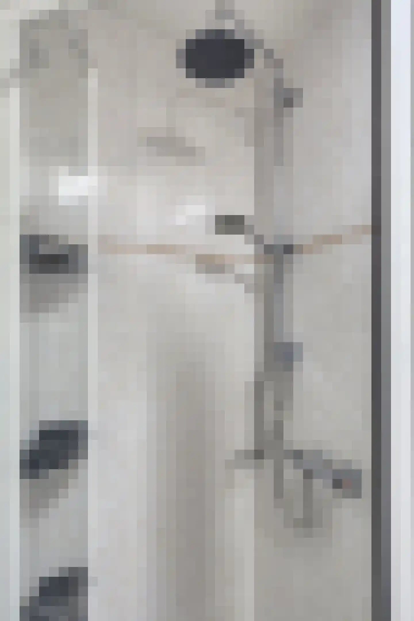 Venuslaan 303 Eindhoven thumbnail 25