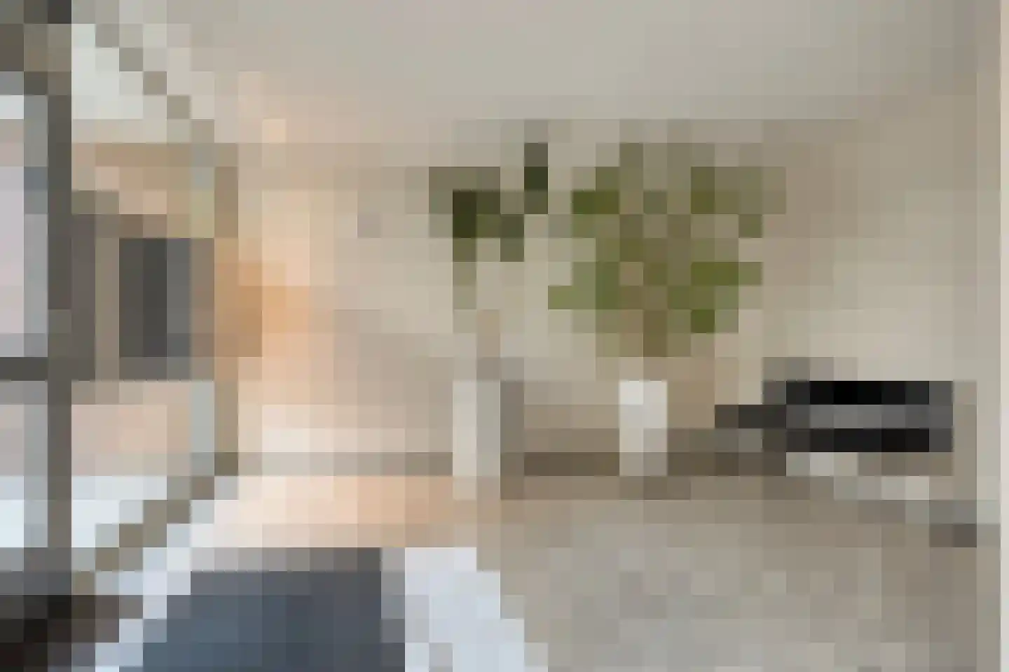 Venuslaan 303 Eindhoven thumbnail 4