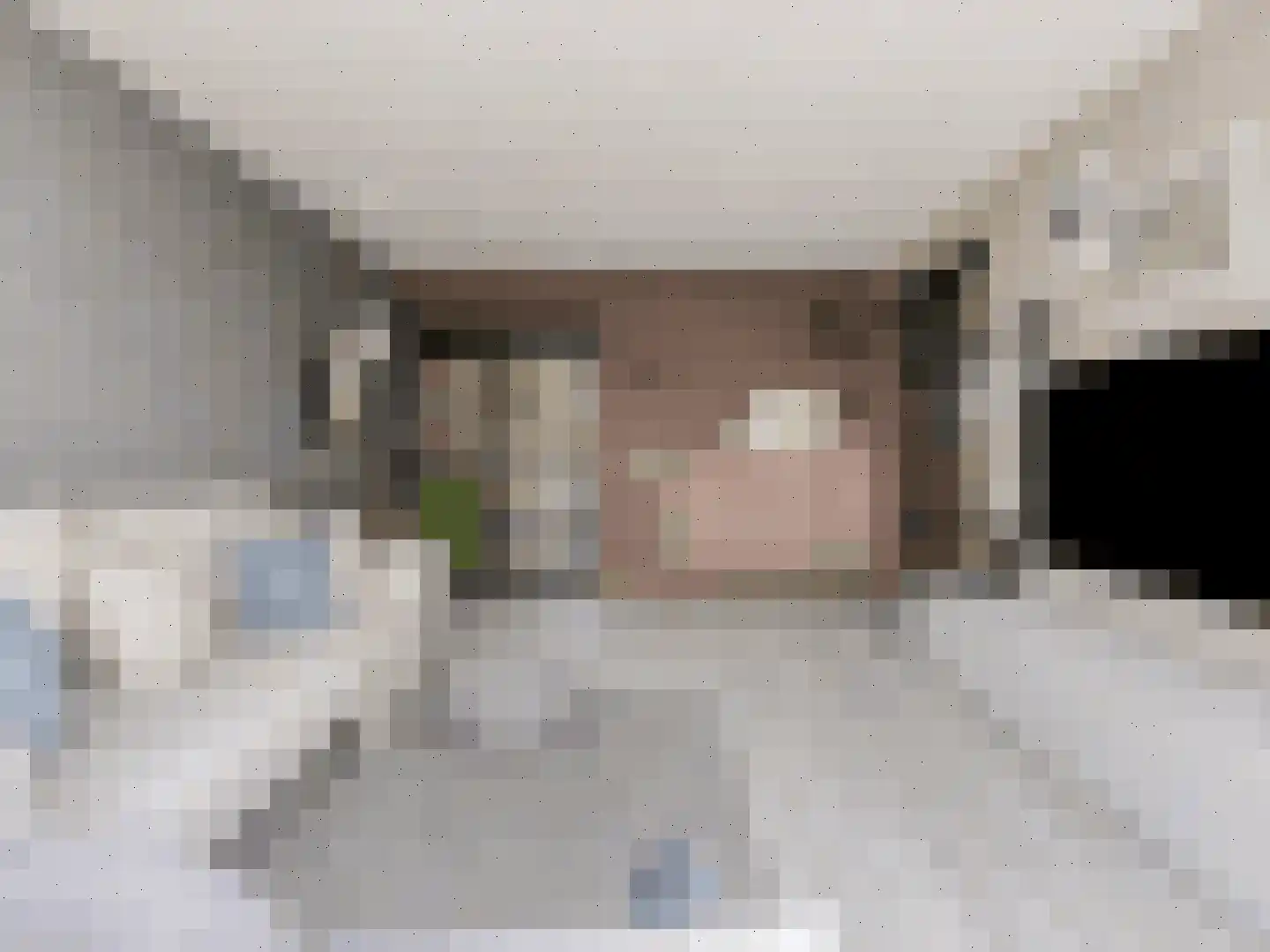 Venuslaan 317 Eindhoven thumbnail 10