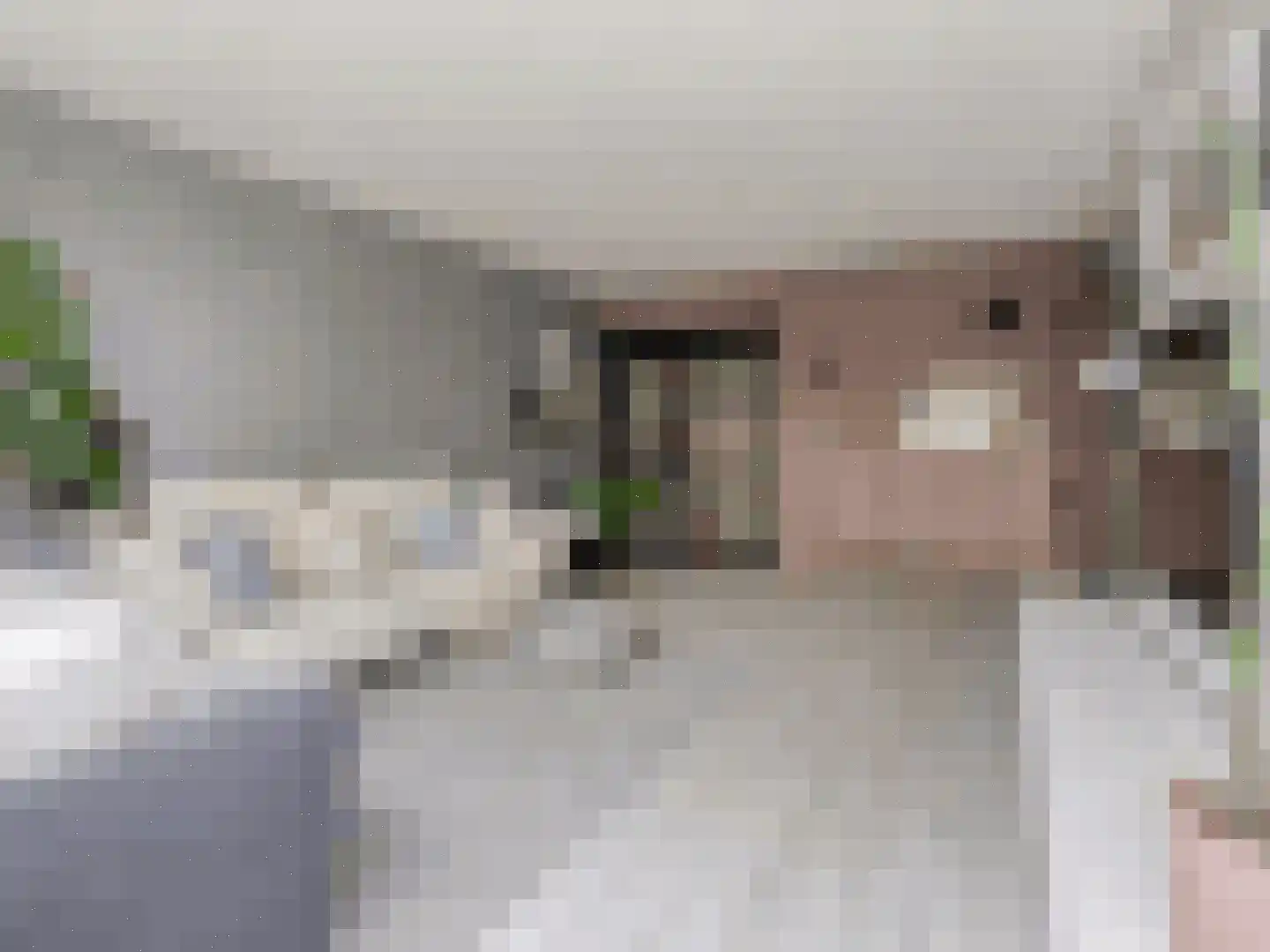 Venuslaan 317 Eindhoven thumbnail 11