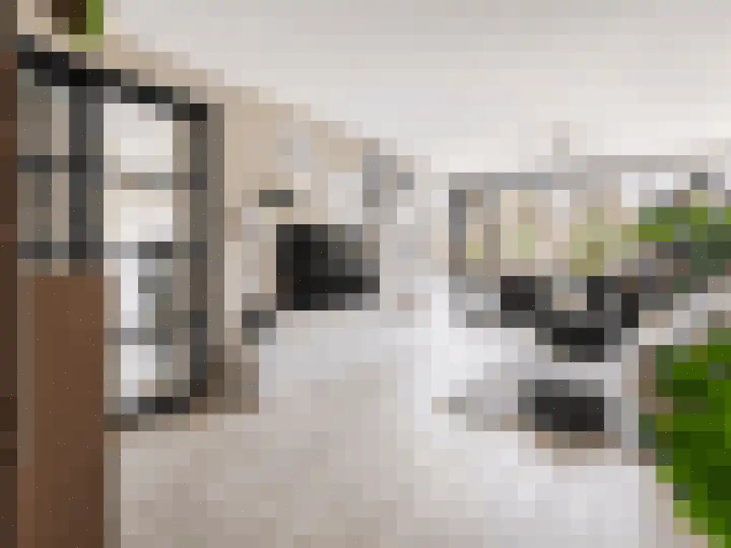 Venuslaan 317 Eindhoven thumbnail 14