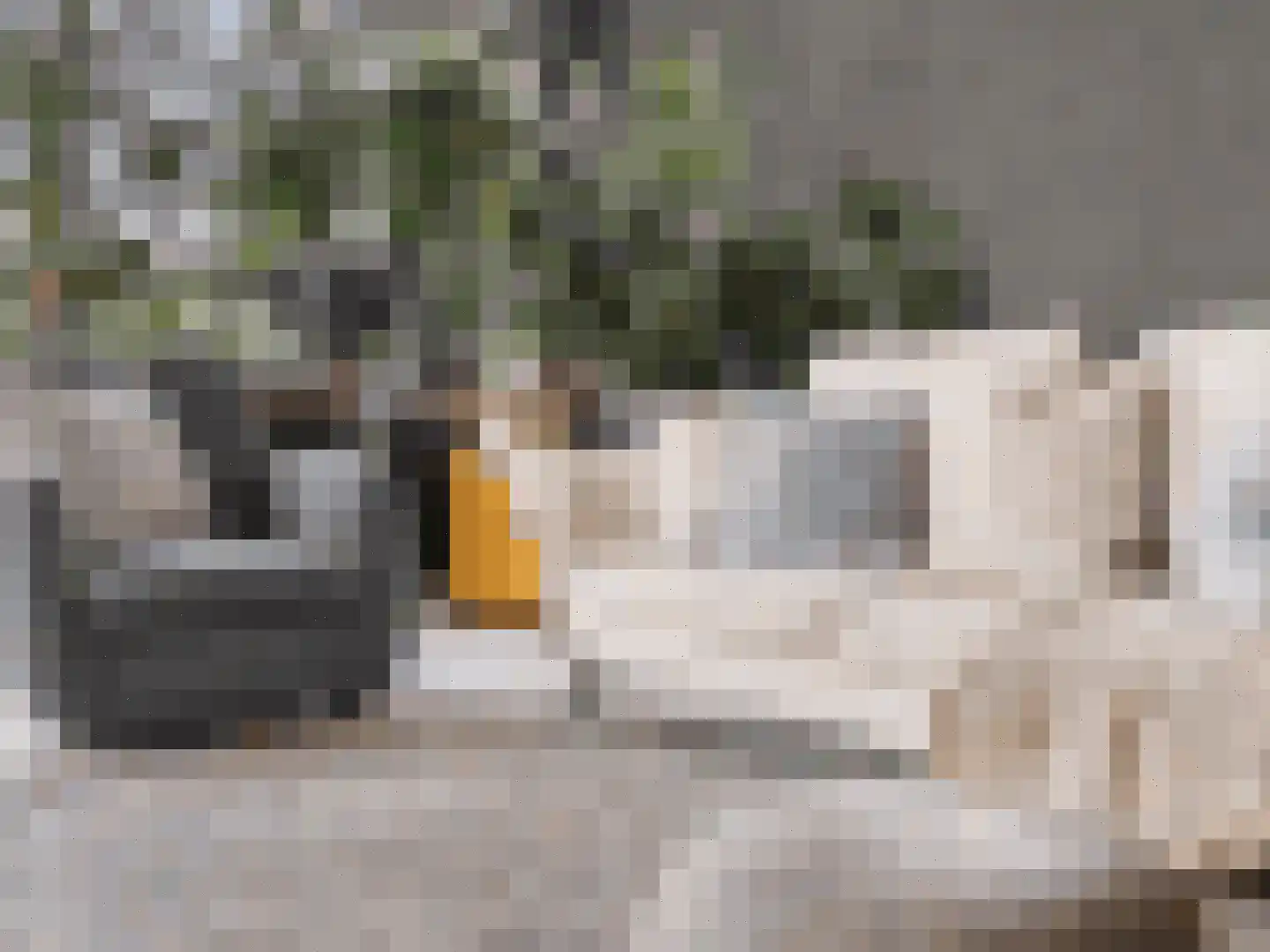 Venuslaan 317 Eindhoven thumbnail 16