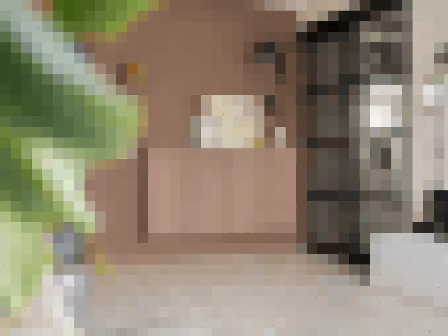 Venuslaan 317 Eindhoven thumbnail 18