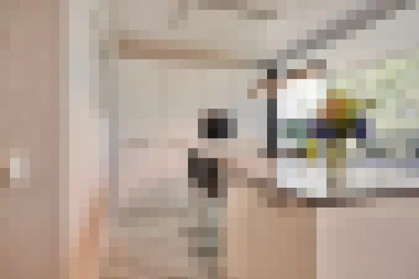 Venuslaan 317 Eindhoven thumbnail 19
