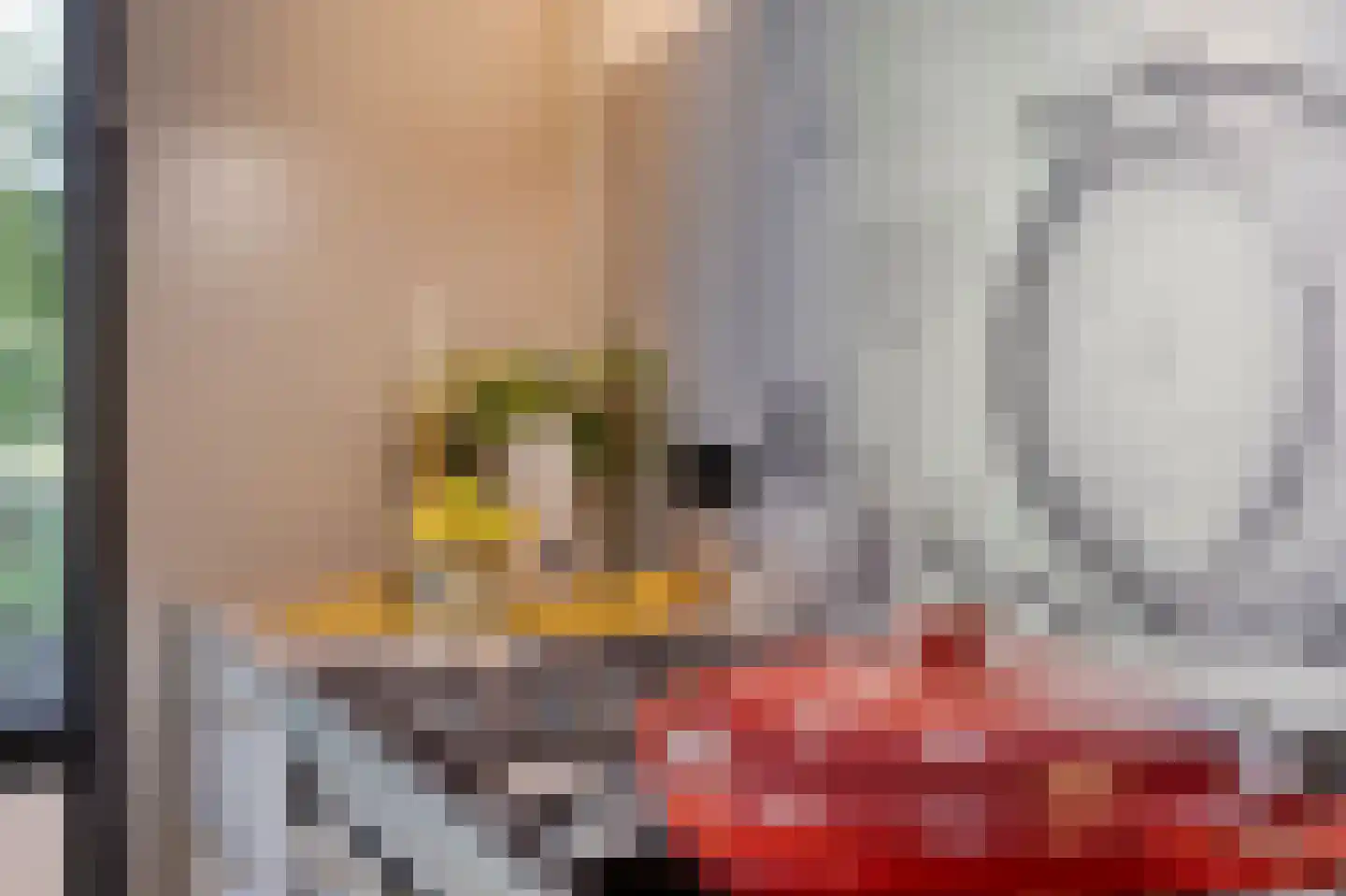 Venuslaan 317 Eindhoven thumbnail 24