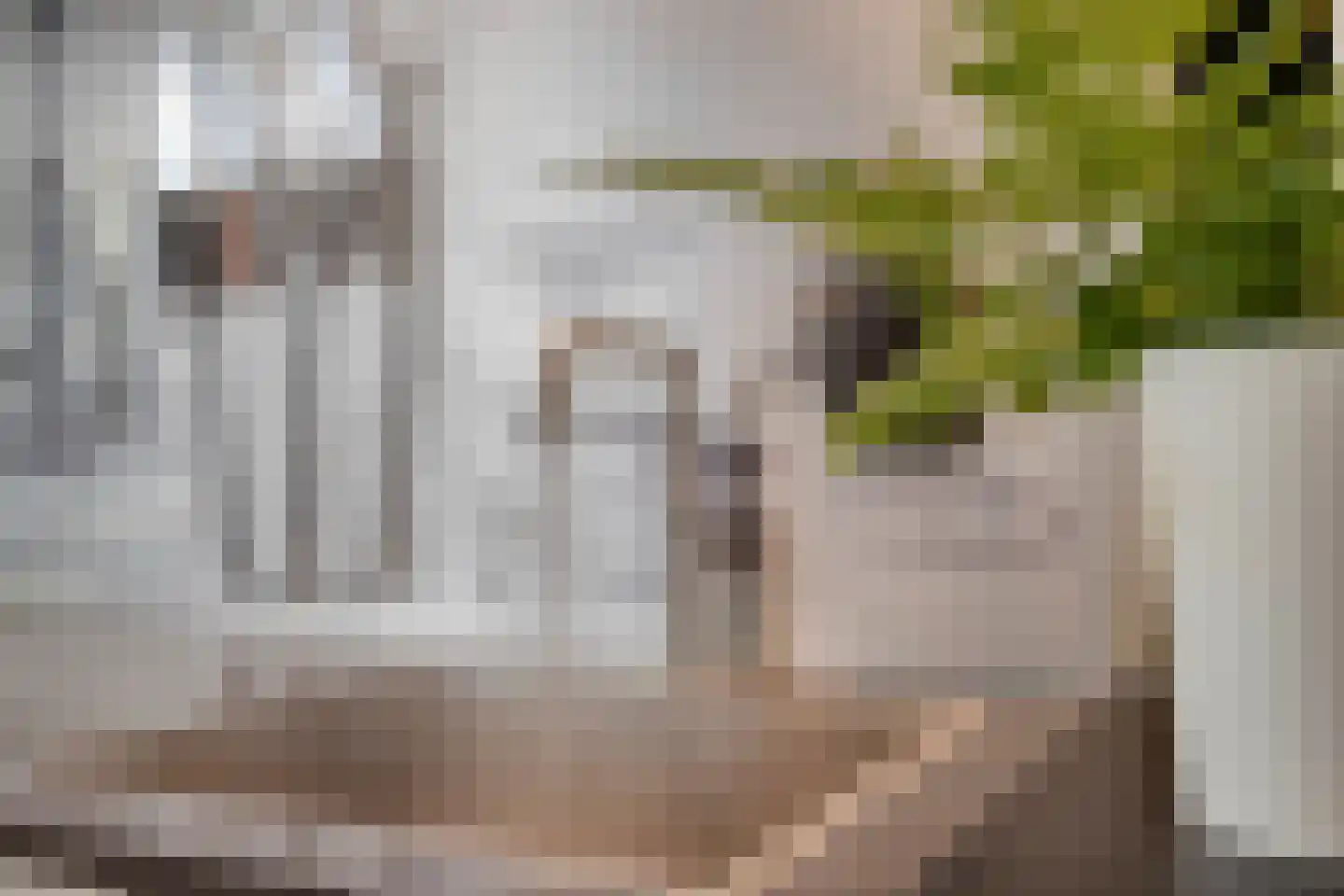 Venuslaan 317 Eindhoven thumbnail 25