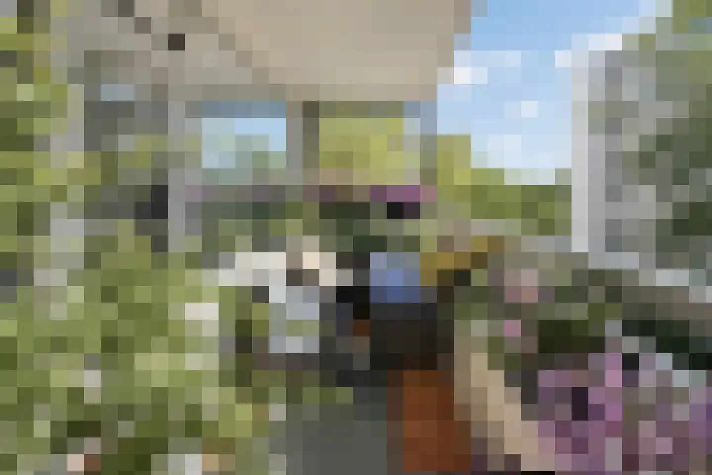 Venuslaan 317 Eindhoven thumbnail 26