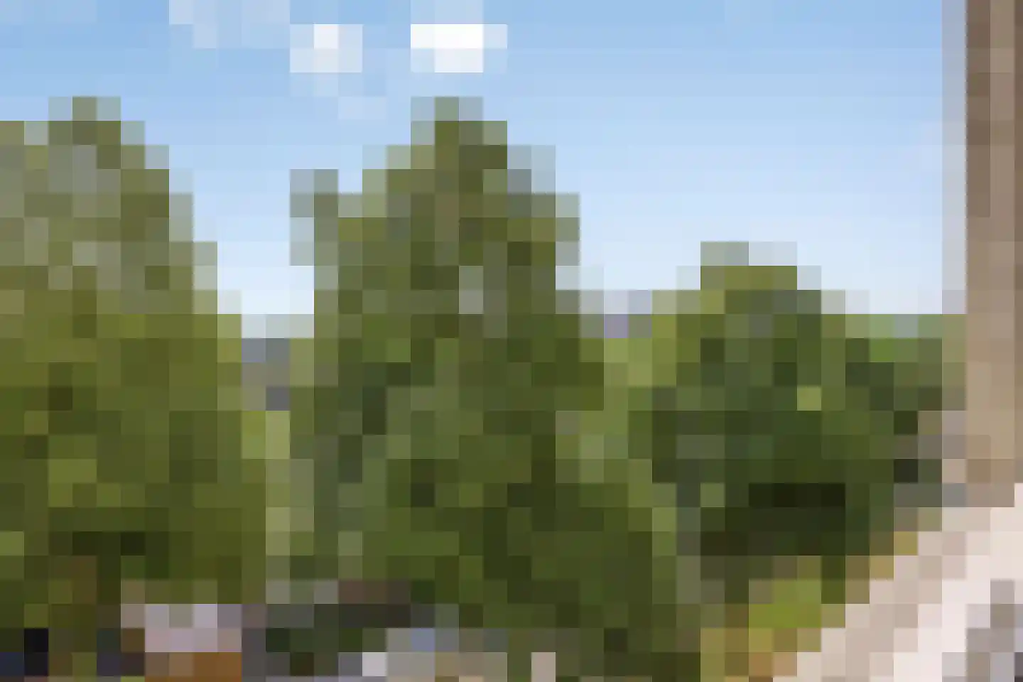 Venuslaan 317 Eindhoven thumbnail 34