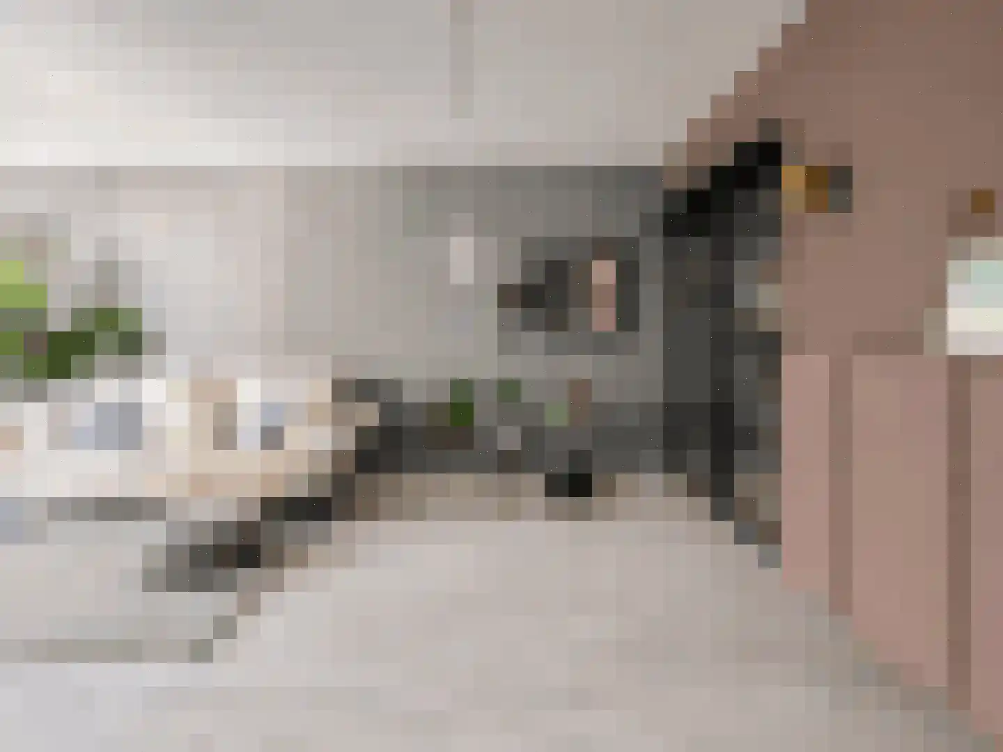 Venuslaan 317 Eindhoven thumbnail 8