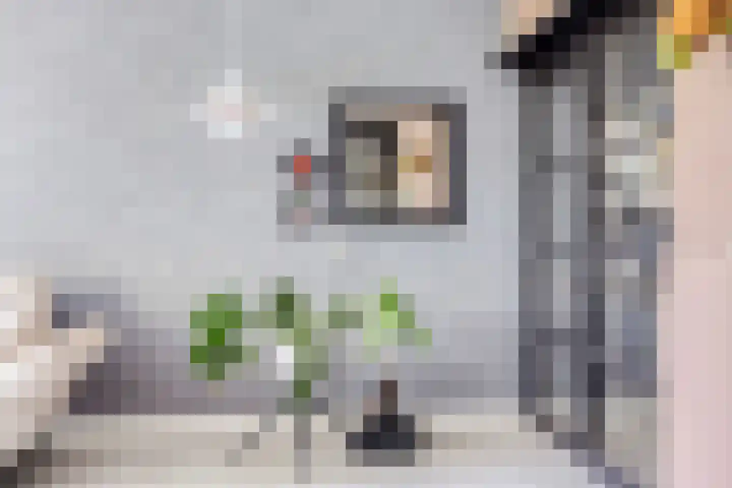 Venuslaan 317 Eindhoven thumbnail 9