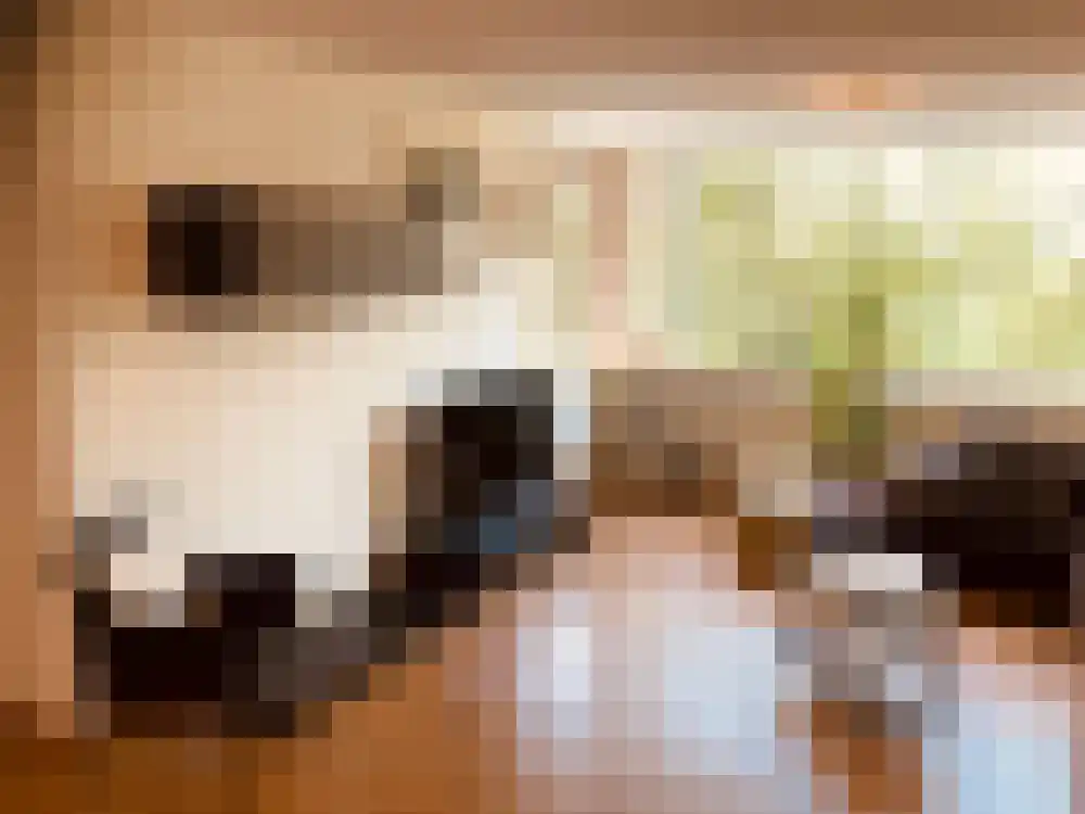 Venuslaan 321 Eindhoven thumbnail 4