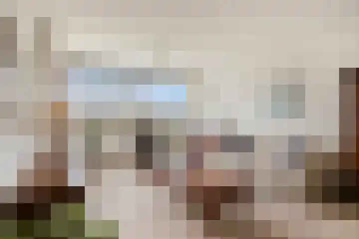 Venuslaan 331 Eindhoven thumbnail 19