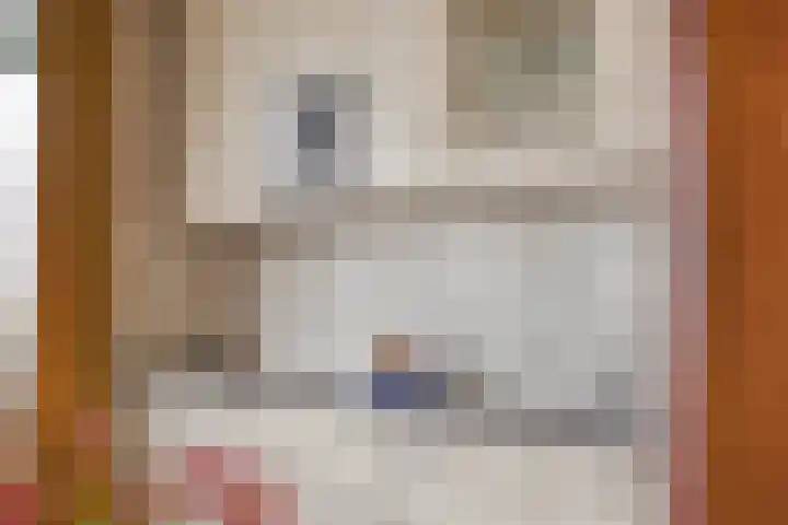 Venuslaan 331 Eindhoven thumbnail 23