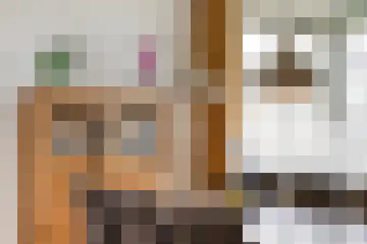Venuslaan 331 Eindhoven thumbnail 26