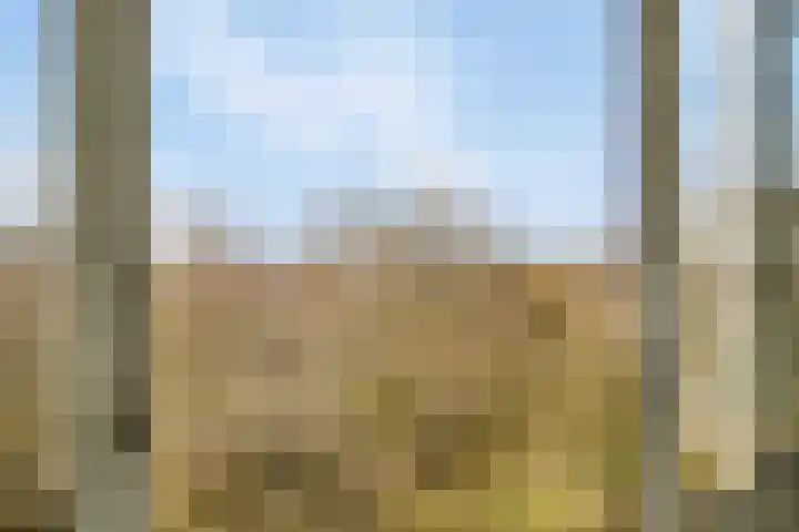 Venuslaan 331 Eindhoven thumbnail 28