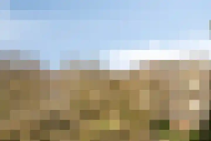 Venuslaan 331 Eindhoven thumbnail 29