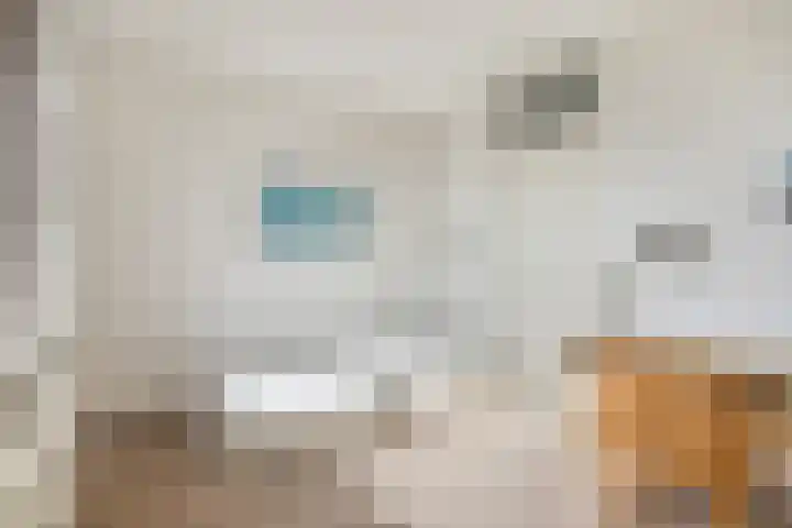 Venuslaan 331 Eindhoven thumbnail 31