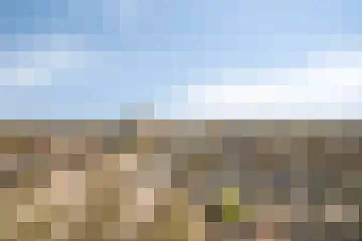 Venuslaan 331 Eindhoven thumbnail 41
