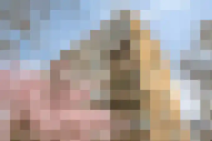 Venuslaan 331 Eindhoven thumbnail 42
