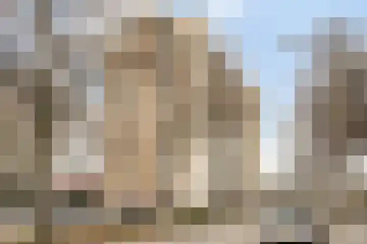 Venuslaan 331 Eindhoven thumbnail 43