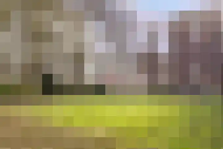 Venuslaan 331 Eindhoven thumbnail 46