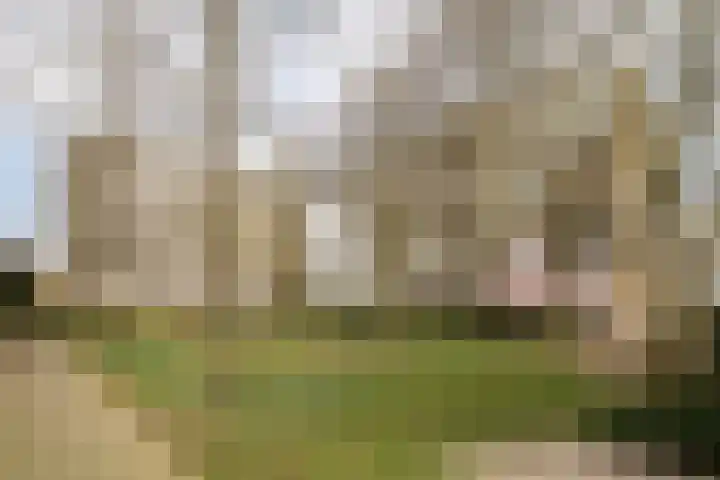 Venuslaan 331 Eindhoven thumbnail 47