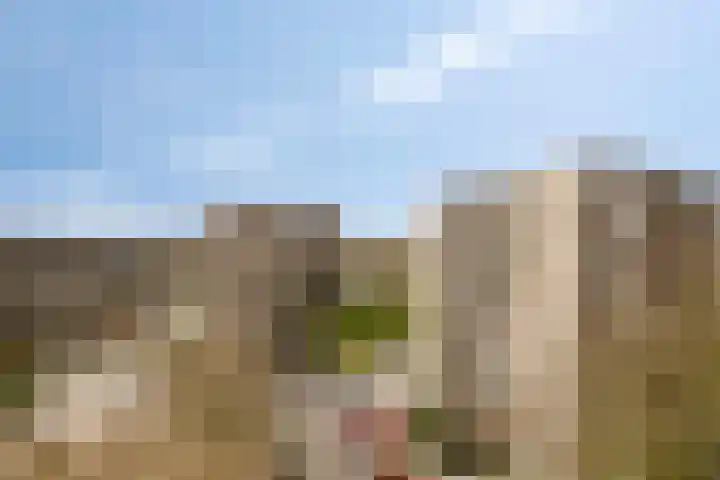 Venuslaan 331 Eindhoven thumbnail 48