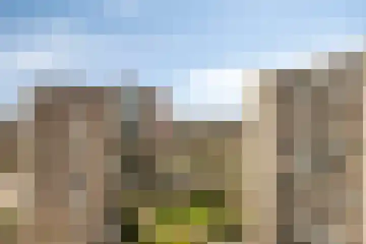 Venuslaan 331 Eindhoven thumbnail 49
