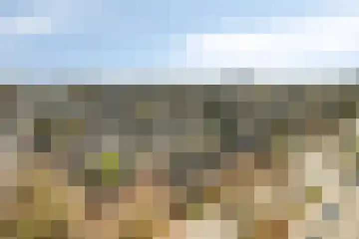 Venuslaan 331 Eindhoven thumbnail 51