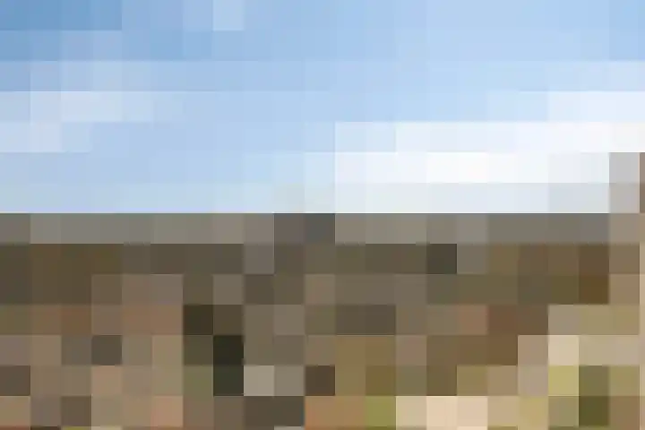 Venuslaan 331 Eindhoven thumbnail 55