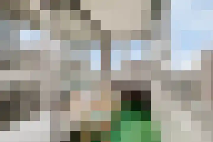 Venuslaan 331 Eindhoven thumbnail 6
