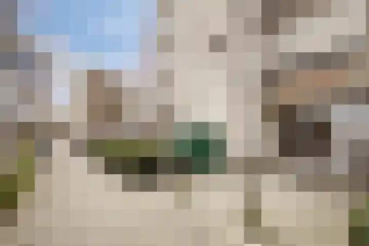 Venuslaan 331 Eindhoven thumbnail 7