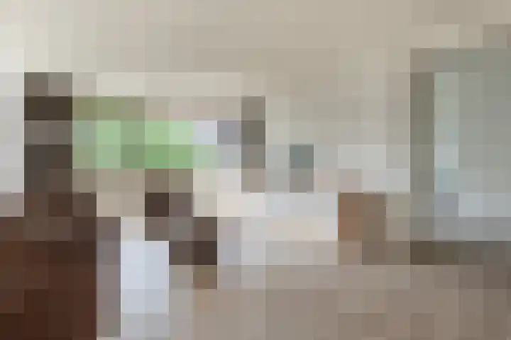 Venuslaan 347 A Eindhoven thumbnail 11