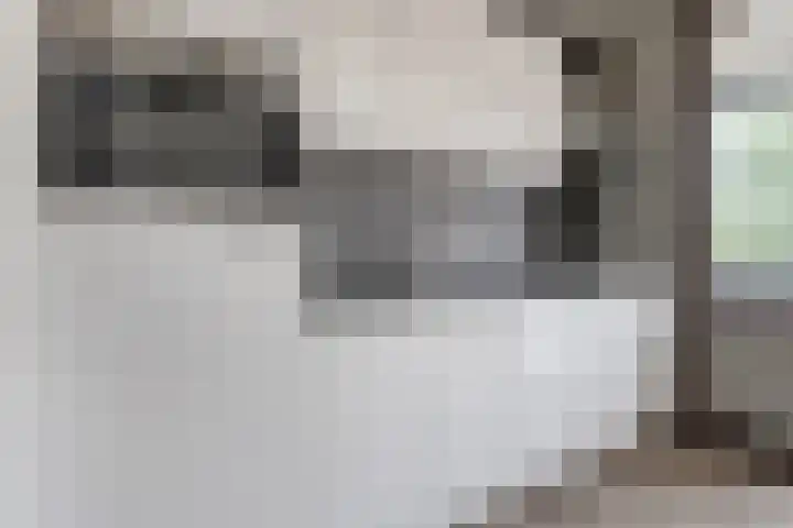 Venuslaan 347 A Eindhoven thumbnail 13