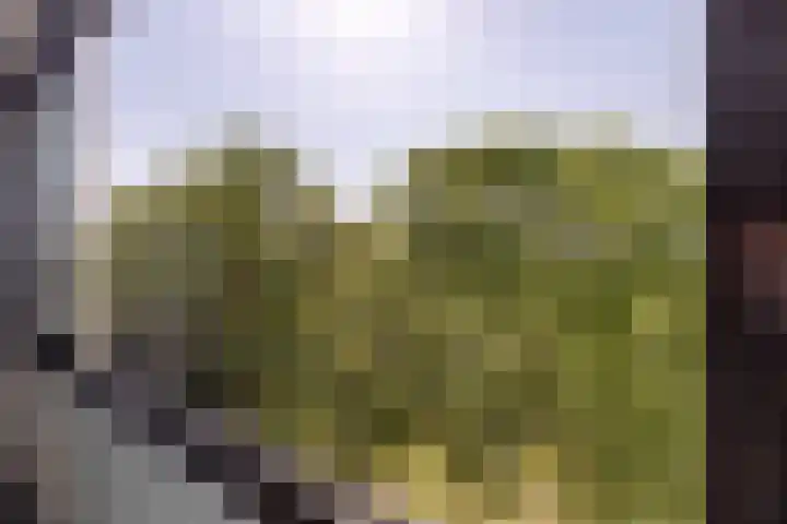 Venuslaan 347 A Eindhoven thumbnail 17