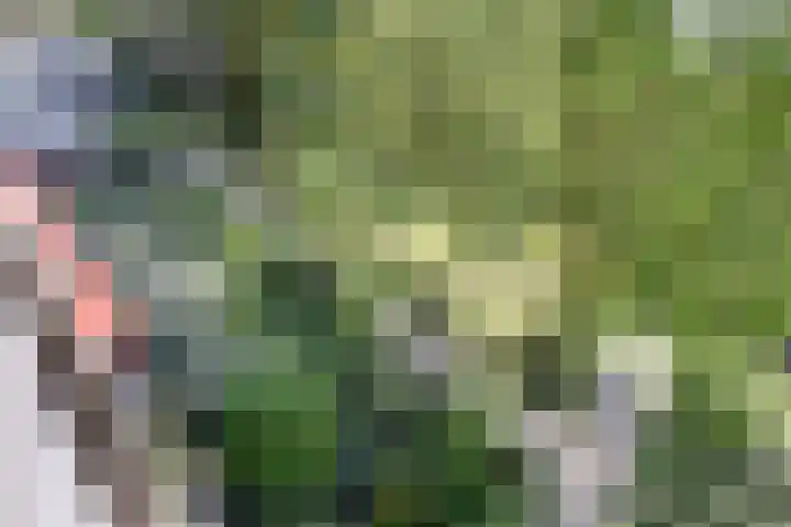 Venuslaan 347 A Eindhoven thumbnail 18
