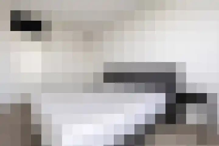 Venuslaan 347 A Eindhoven thumbnail 22