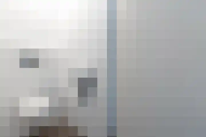 Venuslaan 347 A Eindhoven thumbnail 27