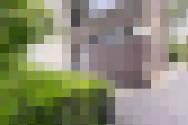 Venuslaan 347 A Eindhoven thumbnail 30