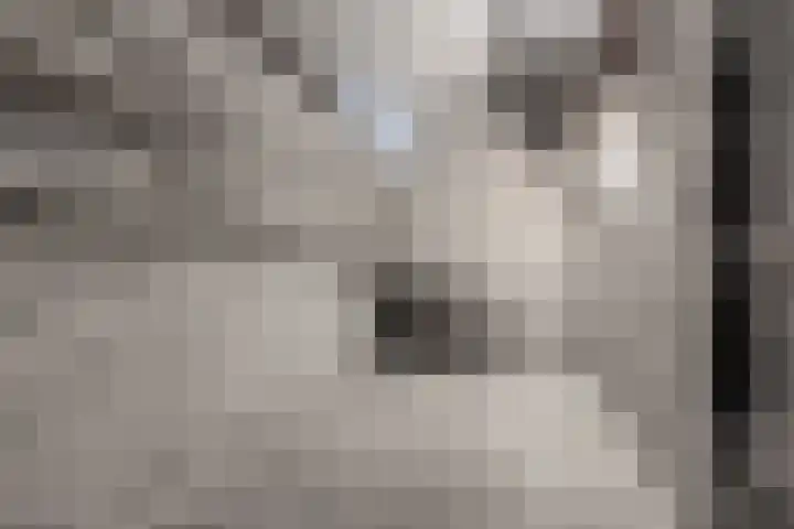 Venuslaan 347 A Eindhoven thumbnail 32