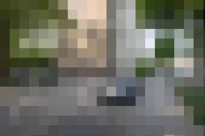 Venuslaan 347 A Eindhoven thumbnail 4