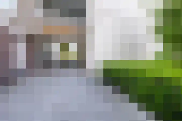 Venuslaan 347 A Eindhoven thumbnail 5