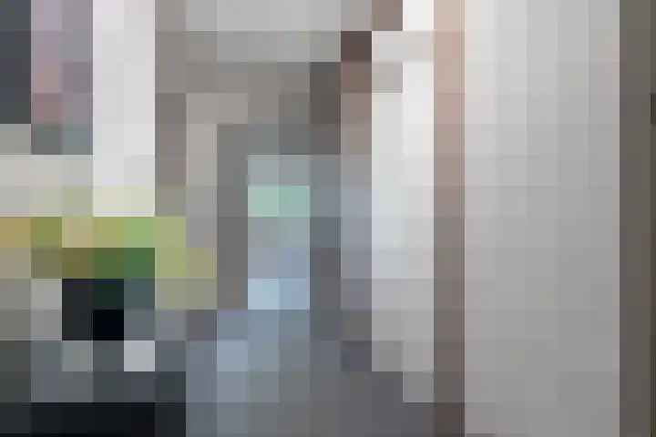 Venuslaan 347 A Eindhoven thumbnail 9