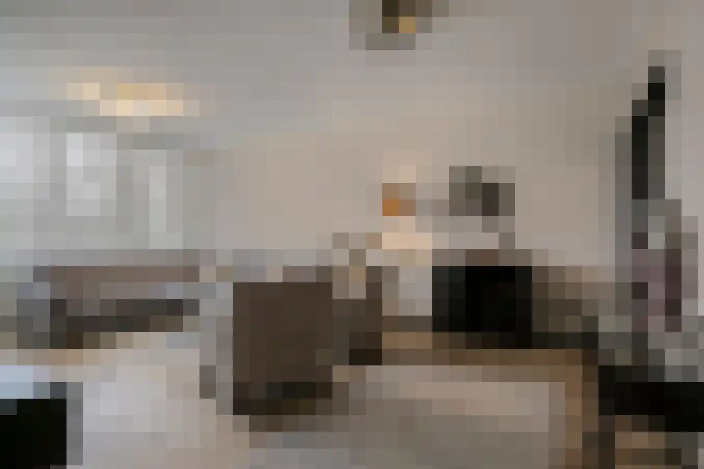 Venuslaan 347 Eindhoven thumbnail 15