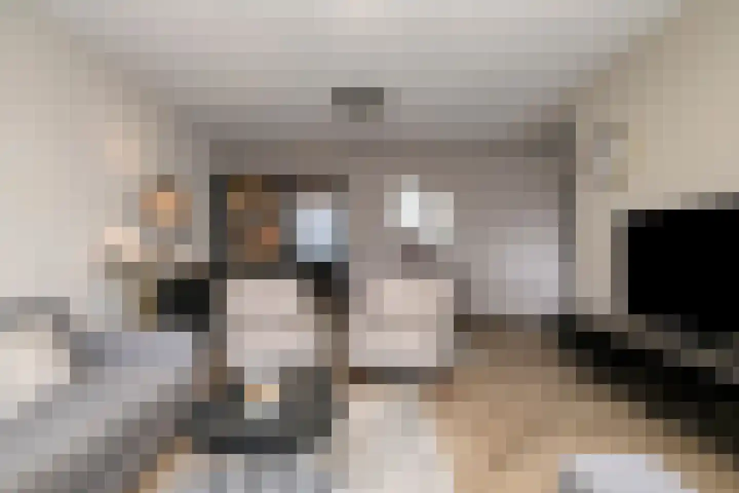 Venuslaan 347 Eindhoven thumbnail 17