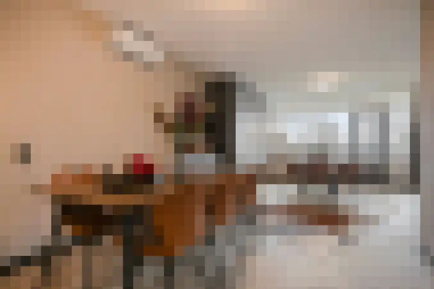Venuslaan 347 Eindhoven thumbnail 20