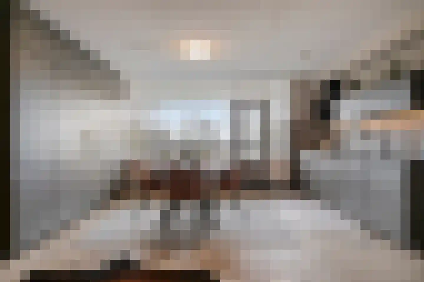 Venuslaan 347 Eindhoven thumbnail 21