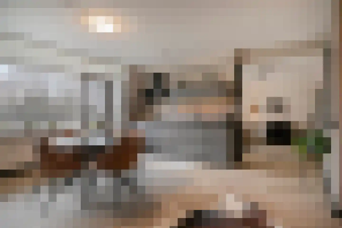 Venuslaan 347 Eindhoven thumbnail 22