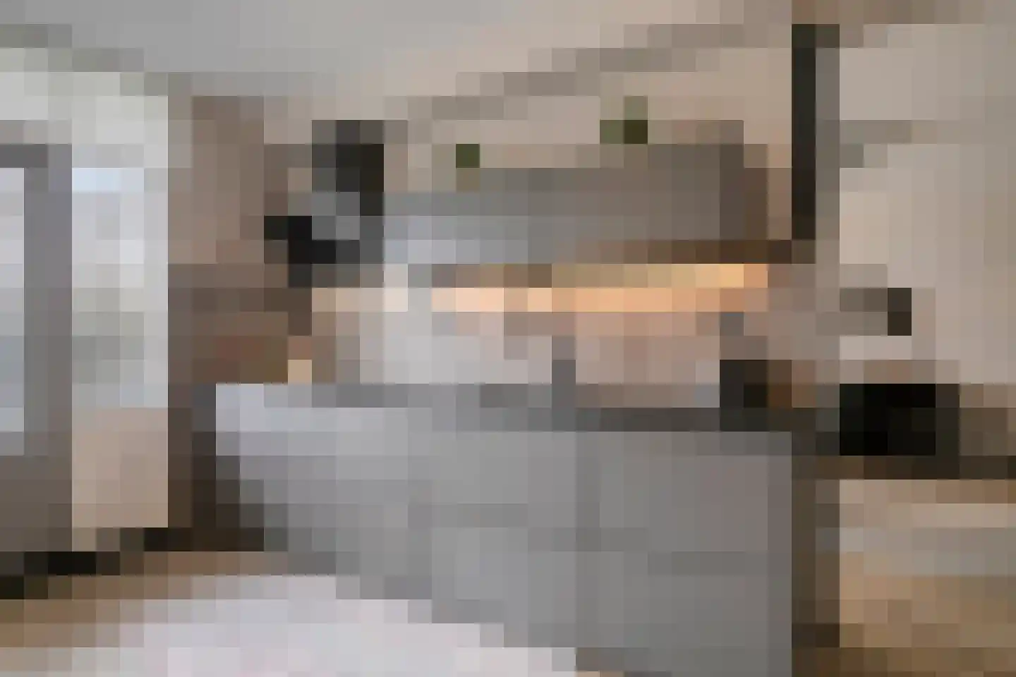 Venuslaan 347 Eindhoven thumbnail 23