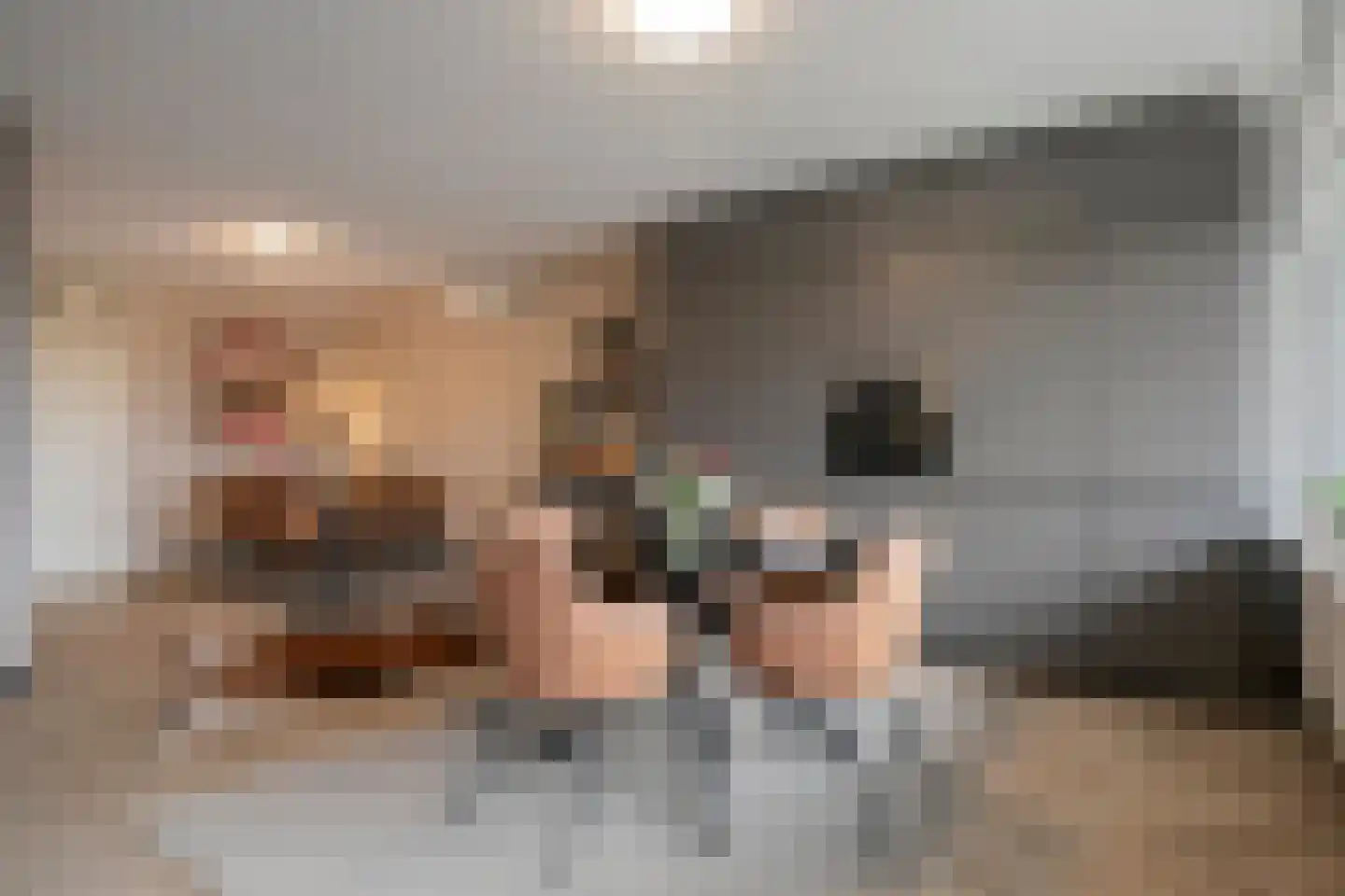 Venuslaan 347 Eindhoven thumbnail 24